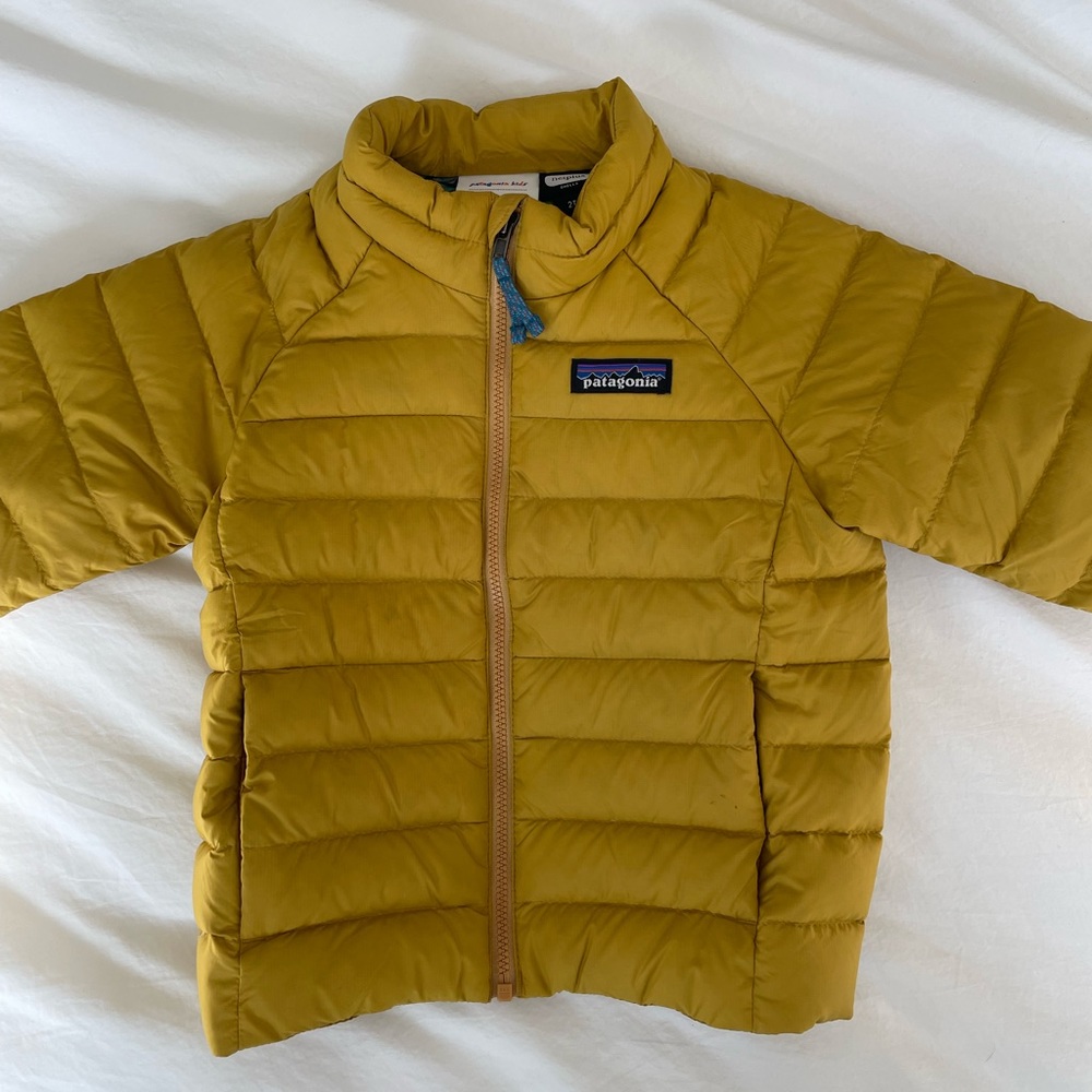 Patagonia 2t Down Sweater Puffy jacket